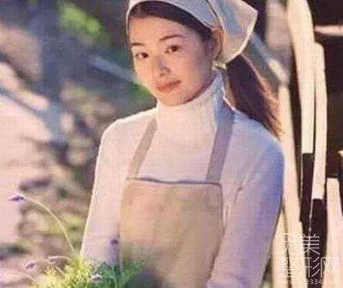 不只是张檬这些女明星也越整越丑了！