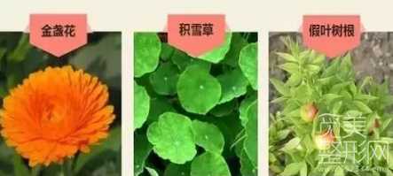 为什么半*驻颜术完胜普通粉底!