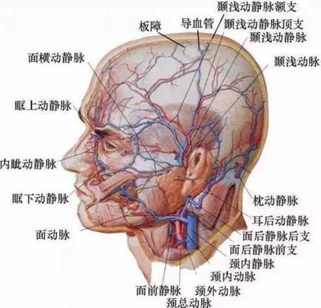 削骨手术如何避免后遗症 削骨手术介绍