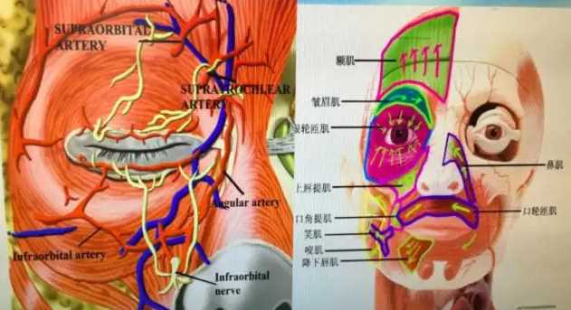 微整形错误的四个观点