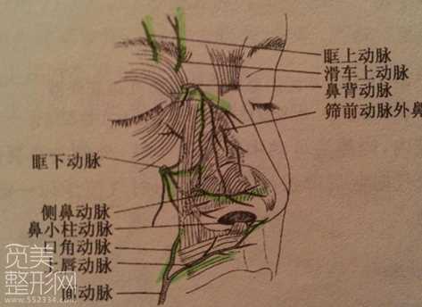 注射隆鼻材料介绍 鼻尖不能注射隆鼻