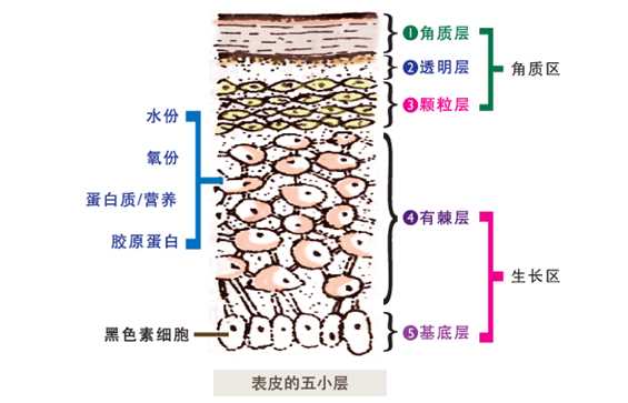 激光祛雀斑手术治疗方法