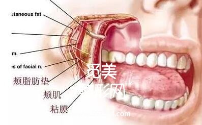 深圳取颊脂垫手术哪里可以做?价格是多少?
