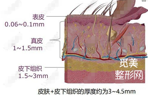 5GMax极速提拉vs 光电提拉,到底谁才是抗衰大佬