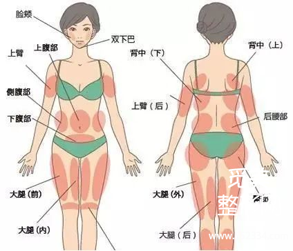 自体脂肪vs胶原蛋白是智商税吗？到底哪个填充*果好