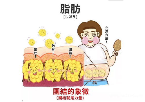 北京东方协和冯斌大腿吸脂怎么样?大概多少钱?